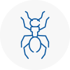 Ant Removals In Linton