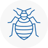 Bed Bug Extermination In Linton