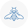 Bee Nest Removal Linton