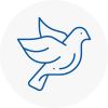 Bird Prevention Linton