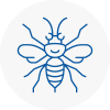 Linton Hornet Nest Removals
