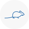 Mice Exterminators In Linton
