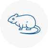Rat Control Linton