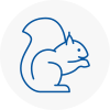 Linton Rodent Removals