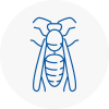 Linton Wasp Nest Removal